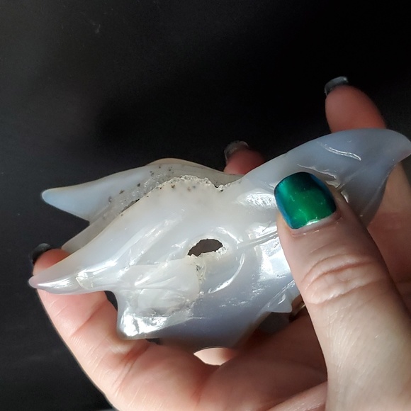 Dendritic blue agate dragon skull with druzy 🐲💀 - Picture 7 of 8